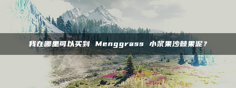 我在哪里可以买到 Menggrass 小浆果沙棘果泥？