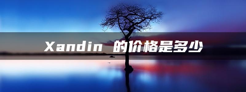 Xandin 的价格是多少