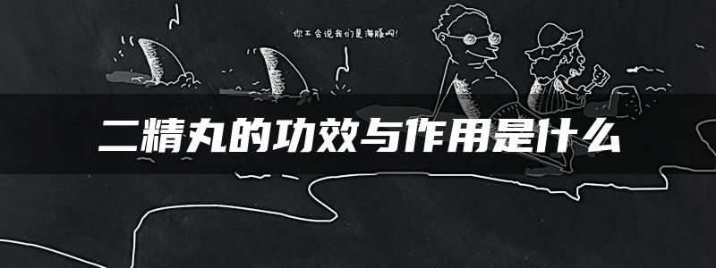 二精丸的功效与作用是什么