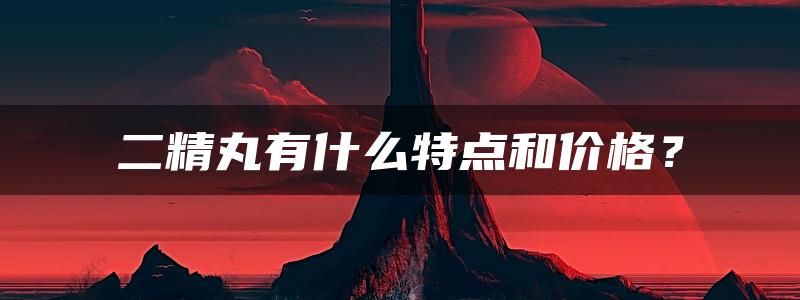 二精丸有什么特点和价格？