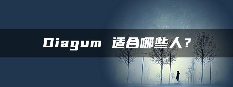 Diagum 适合哪些人？