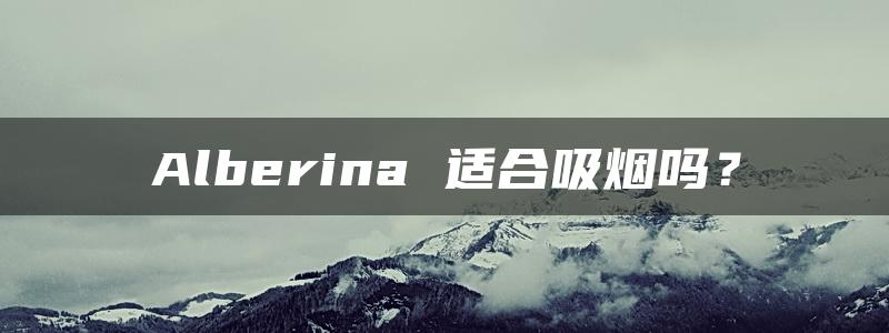 Alberina 适合吸烟吗？