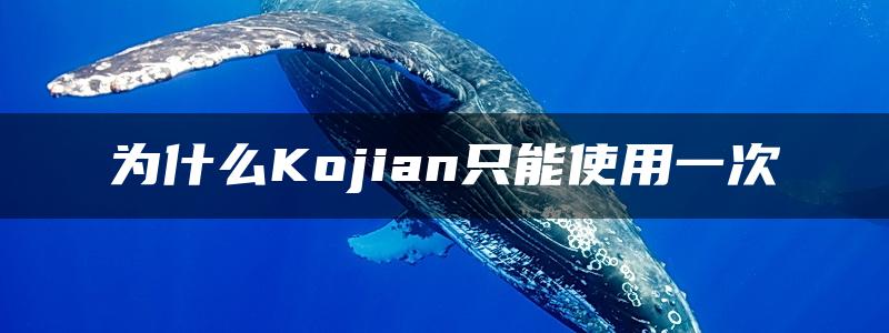 为什么Kojian只能使用一次