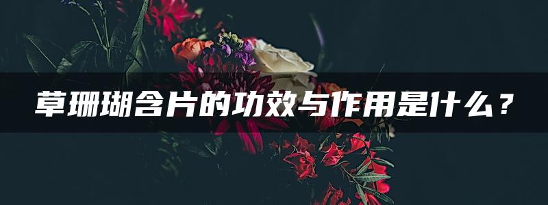 草珊瑚含片的功效与作用是什么？