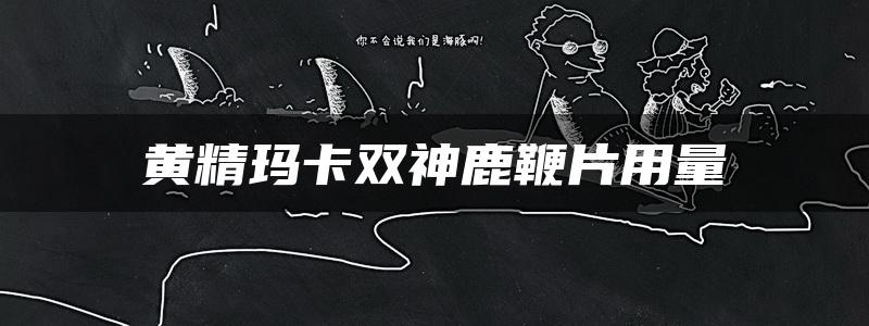 黄精玛卡双神鹿鞭片用量