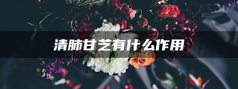 清肺甘芝有什么作用