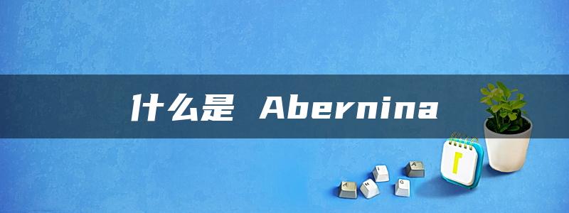 什么是 Abernina