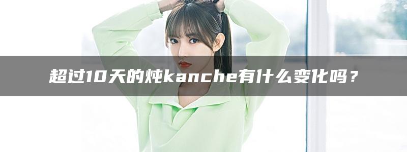 超过10天的炖kanche有什么变化吗？