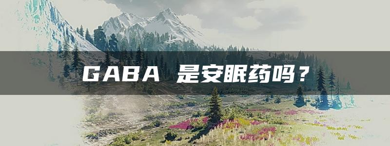 GABA 是安眠药吗？