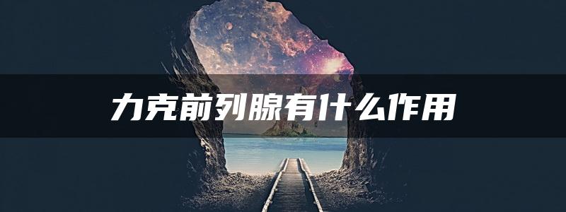 力克前列腺有什么作用