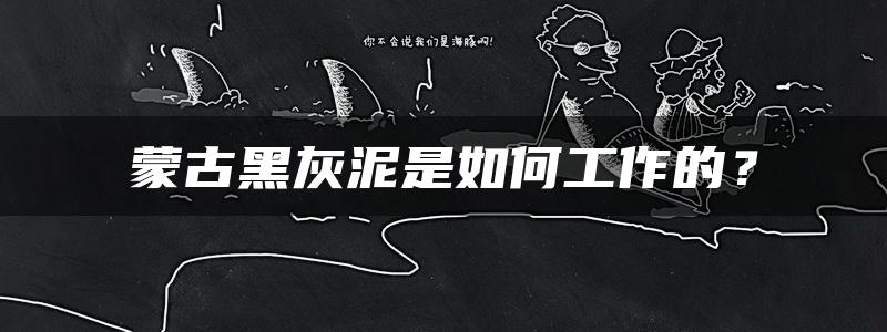 蒙古黑灰泥是如何工作的？