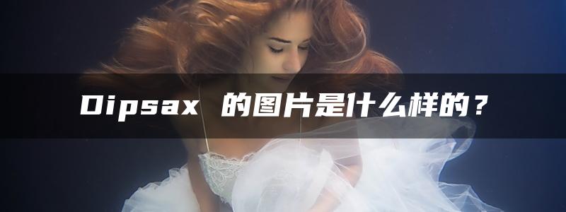 Dipsax 的图片是什么样的？