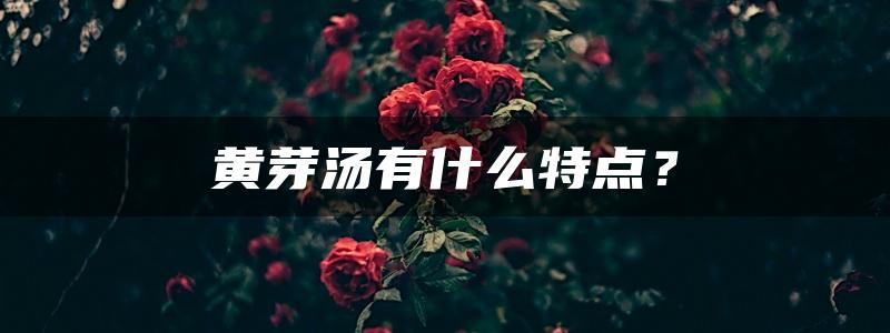 黄芽汤有什么特点？