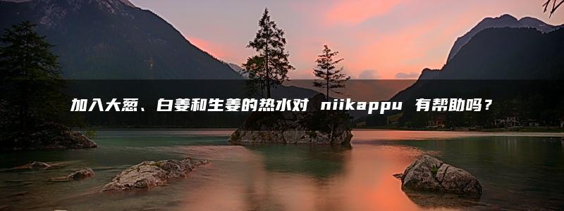 加入大葱、白姜和生姜的热水对 niikappu 有帮助吗？