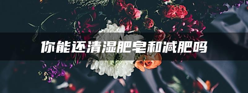 你能还清湿肥皂和减肥吗