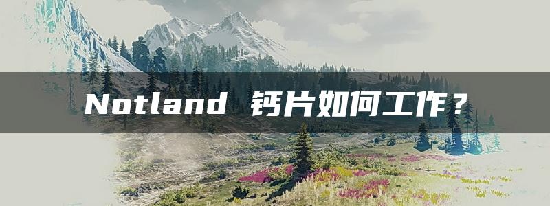 Notland 钙片如何工作？