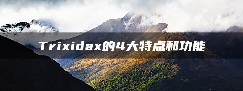 Trixidax的4大特点和功能