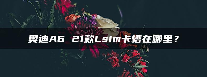 奥迪A6 21款Lsim卡槽在哪里？