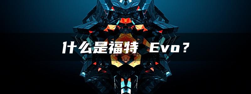 什么是福特 Evo？