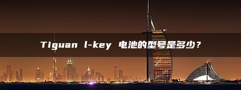 Tiguan l-key 电池的型号是多少？