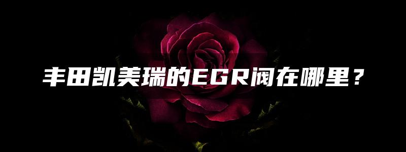 丰田凯美瑞的EGR阀在哪里？