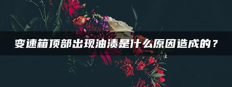 变速箱顶部出现油渍是什么原因造成的？