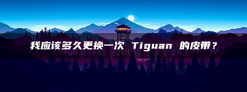 我应该多久更换一次 Tiguan 的皮带？