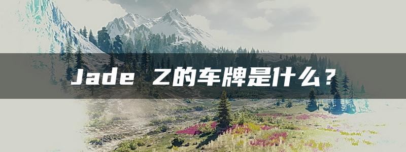 Jade Z的车牌是什么？