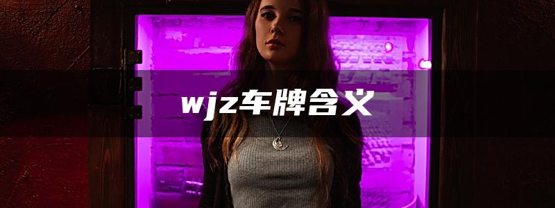 wjz车牌含义