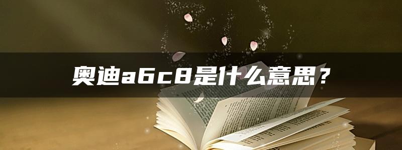 奥迪a6c8是什么意思？