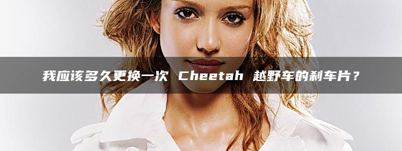 我应该多久更换一次 Cheetah 越野车的刹车片？