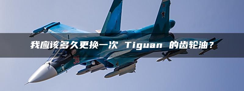 我应该多久更换一次 Tiguan 的齿轮油？