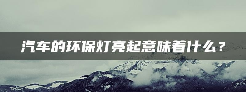 汽车的环保灯亮起意味着什么？