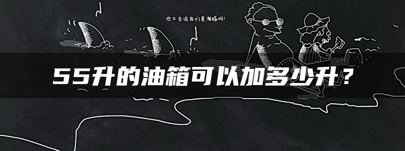 55升的油箱可以加多少升？