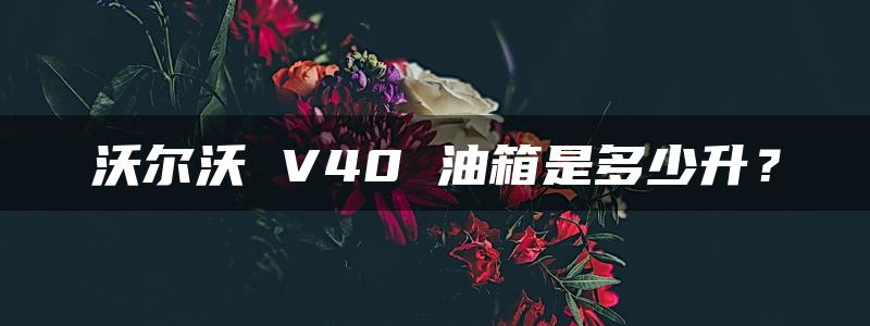 沃尔沃 V40 油箱是多少升？