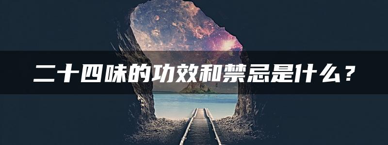 二十四味的功效和禁忌是什么？