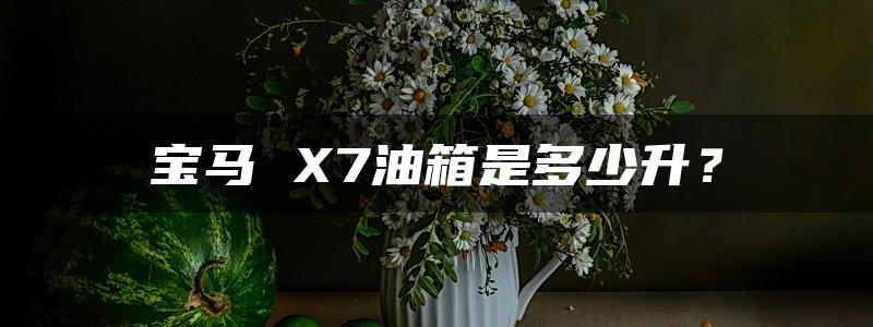 宝马 X7油箱是多少升？