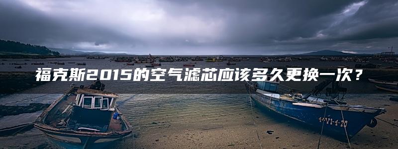 福克斯2015的空气滤芯应该多久更换一次？