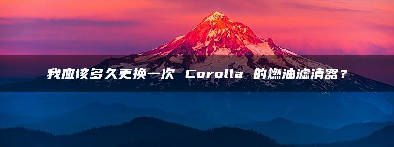 我应该多久更换一次 Corolla 的燃油滤清器？