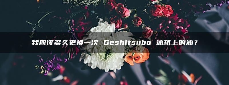 我应该多久更换一次 Geshitsubo 油箱上的油？