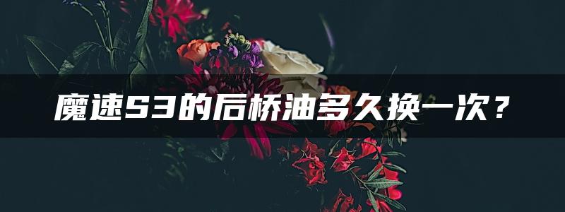 魔速S3的后桥油多久换一次？