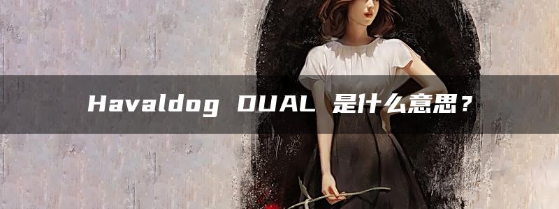 Havaldog DUAL 是什么意思？