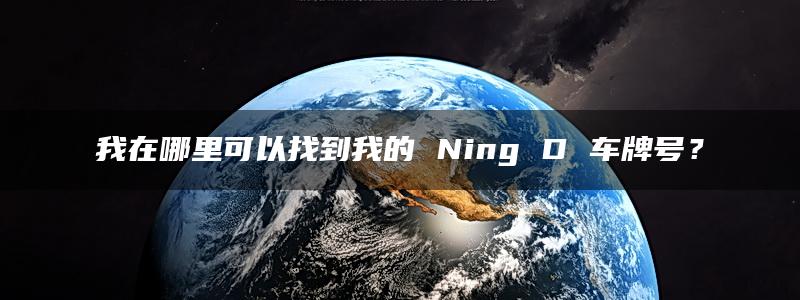 我在哪里可以找到我的 Ning D 车牌号？