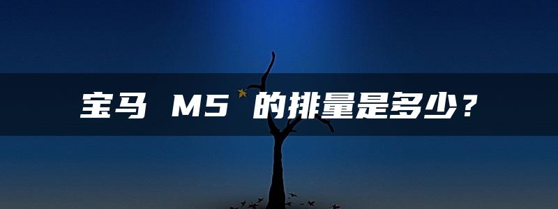 宝马 M5 的排量是多少？