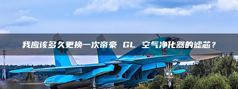 我应该多久更换一次帝豪 GL 空气净化器的滤芯？