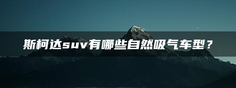 斯柯达suv有哪些自然吸气车型？