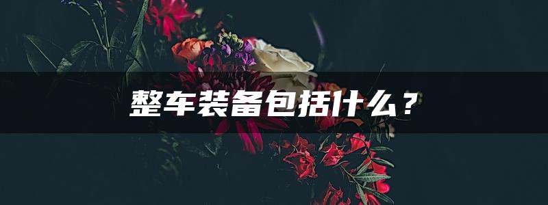 整车装备包括什么？