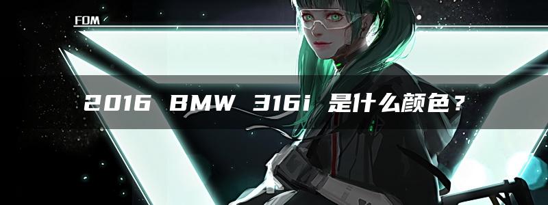 2016 BMW 316i 是什么颜色？