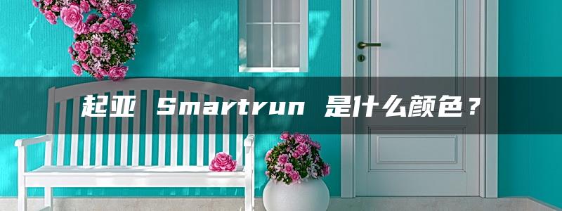 起亚 Smartrun 是什么颜色？