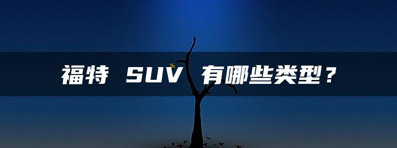 福特 SUV 有哪些类型？